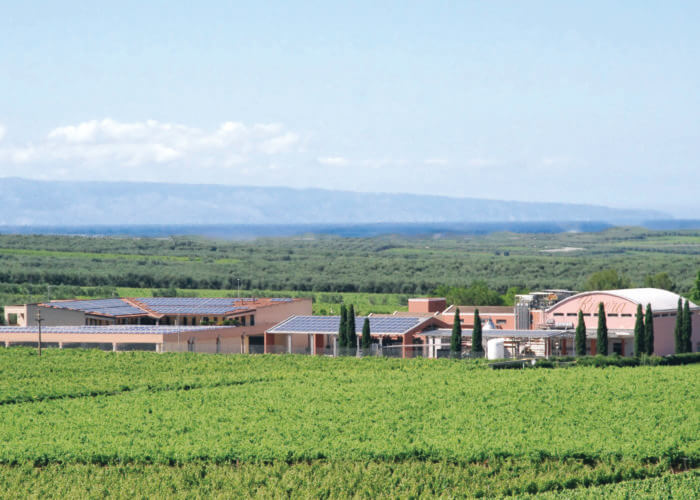 Vinicon Wines - UK Wine Wholesaler